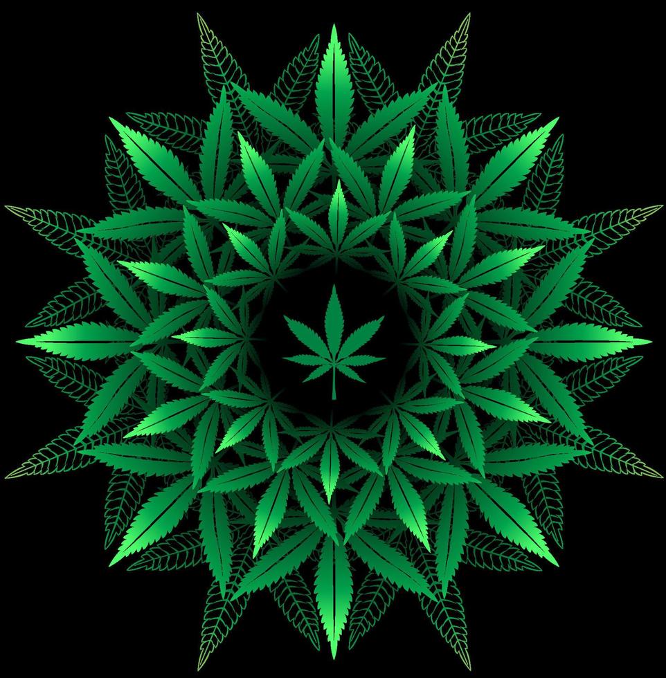 mandala från cannabis blad vektor