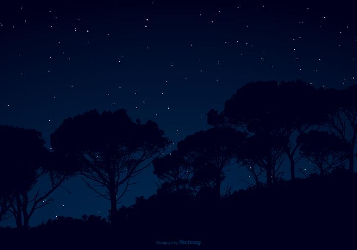 Starry Night Sky Illustration vektor