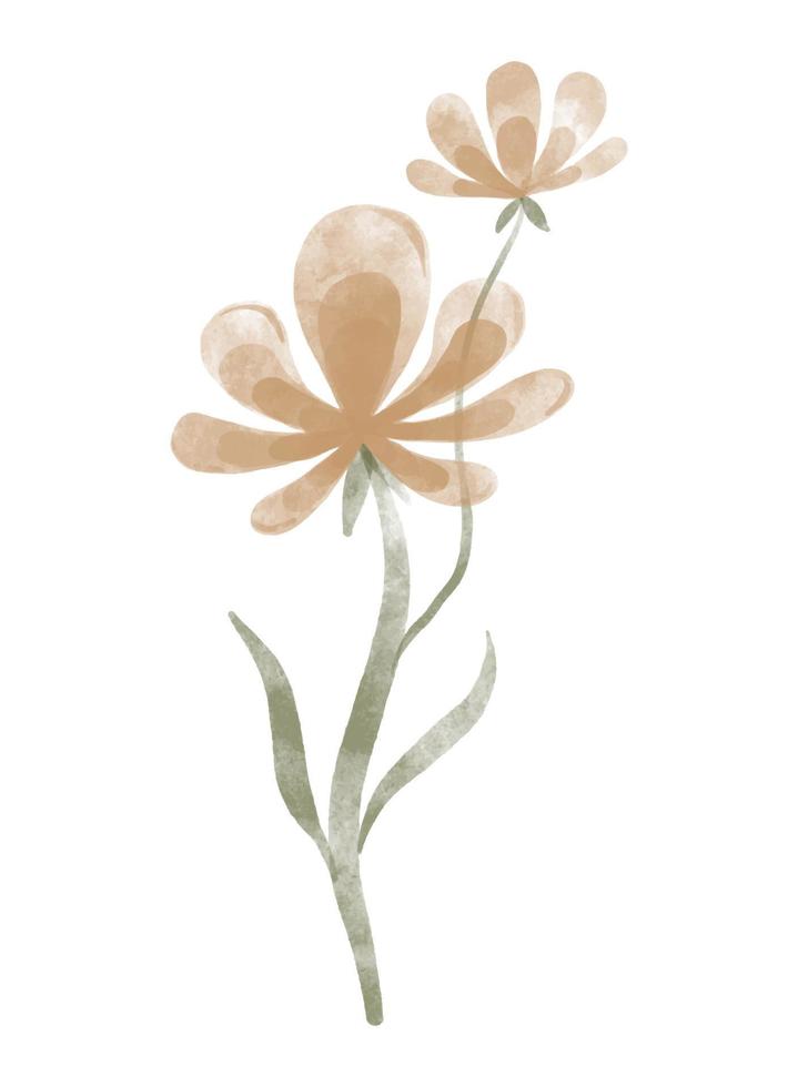 vattenfärg trendig blomma. vektor illustration för webb, app och skriva ut. elegant feminin form floristisk isolerat krysantemum blomma. trädgård, botanisk, minimalistisk blommig element.