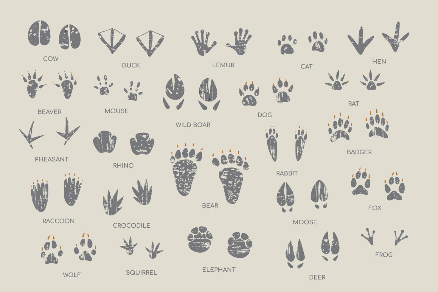 djur- fotavtryck guide samling. hand dragen vektor illustration med texturer
