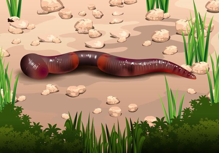 Earthworm Im Boden Vector