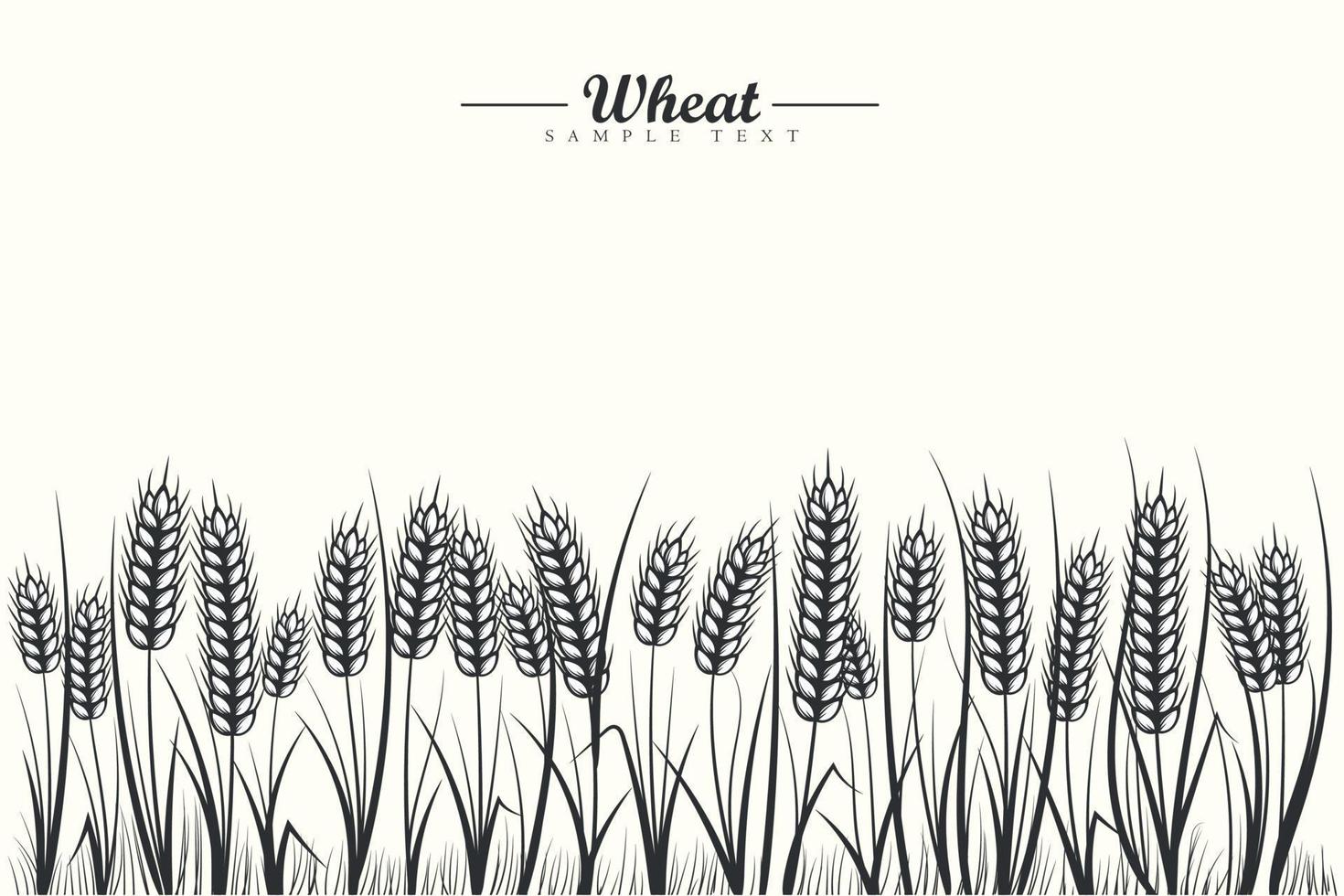 svart och vit vete spannmål fält bakgrund med vete öron och vete blad på vit bakgrund vektor