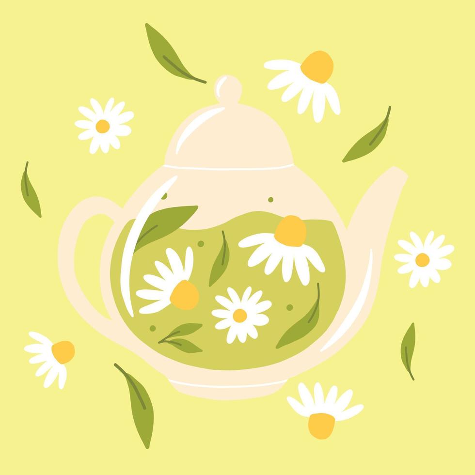 tekanna med grön te och kamomill ört- te med kamomill i en glas tekanna. vektor illustration. isolerat illustration på en vit bakgrund. platt stil.