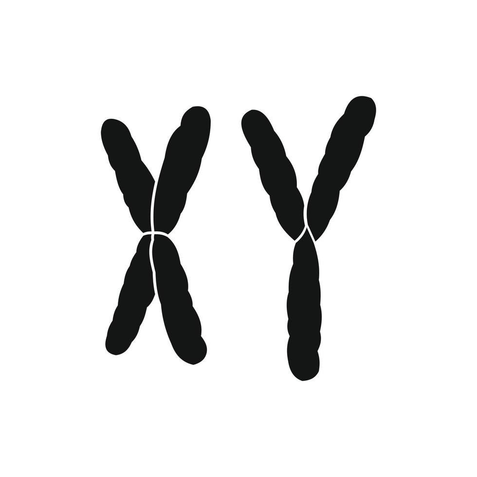 x och y kromosom ikon vektor