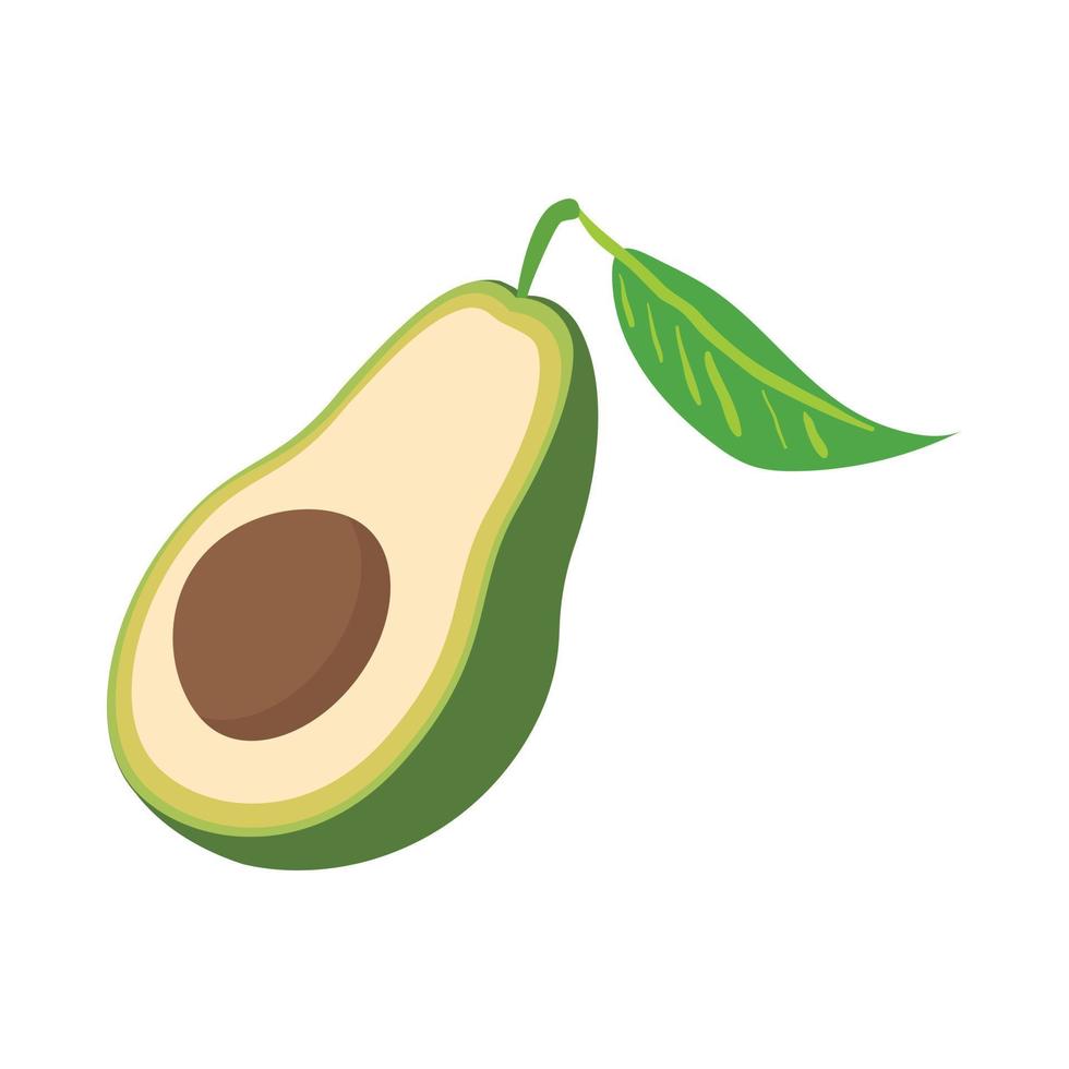 die Hälfte der Avocado-Ikone, Cartoon-Stil vektor