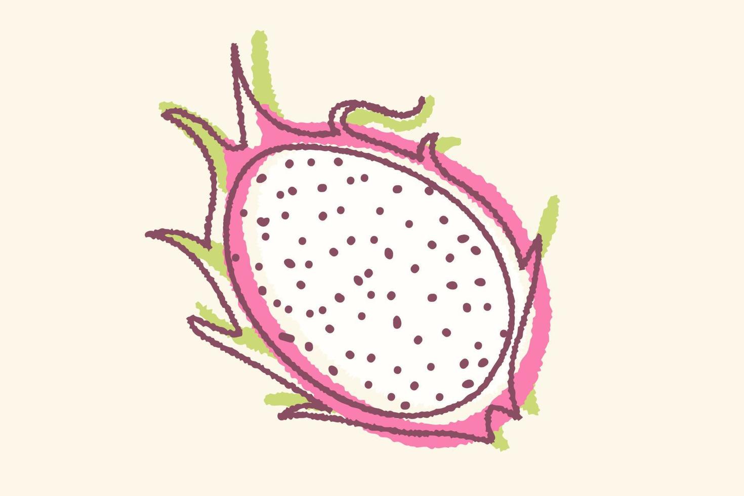 vektorweinleseillustration von pitaya im handzeichnungsstil. Vektorposter von Pitaya im Retro-Stil. Tropische Frucht. vektor