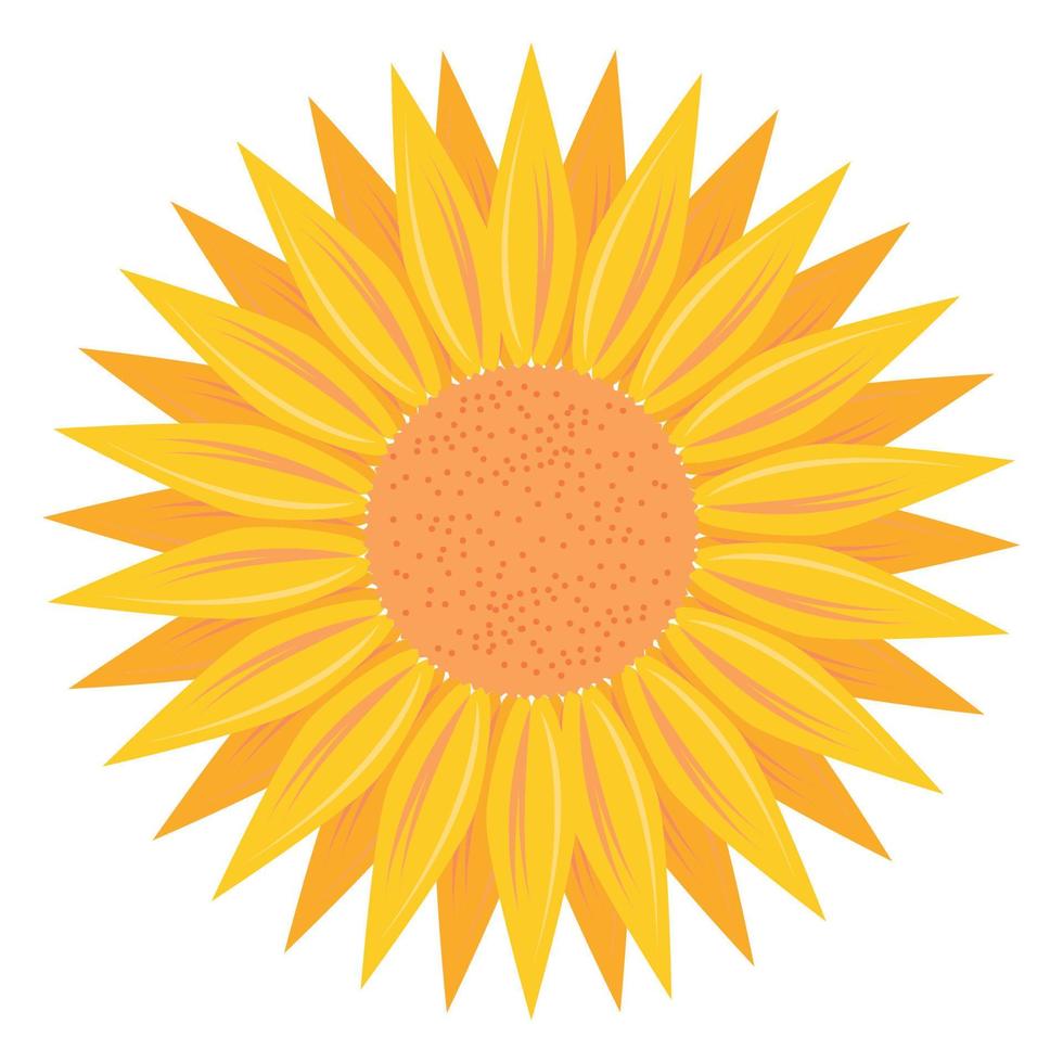 Gelber Sonnenblumengarten vektor