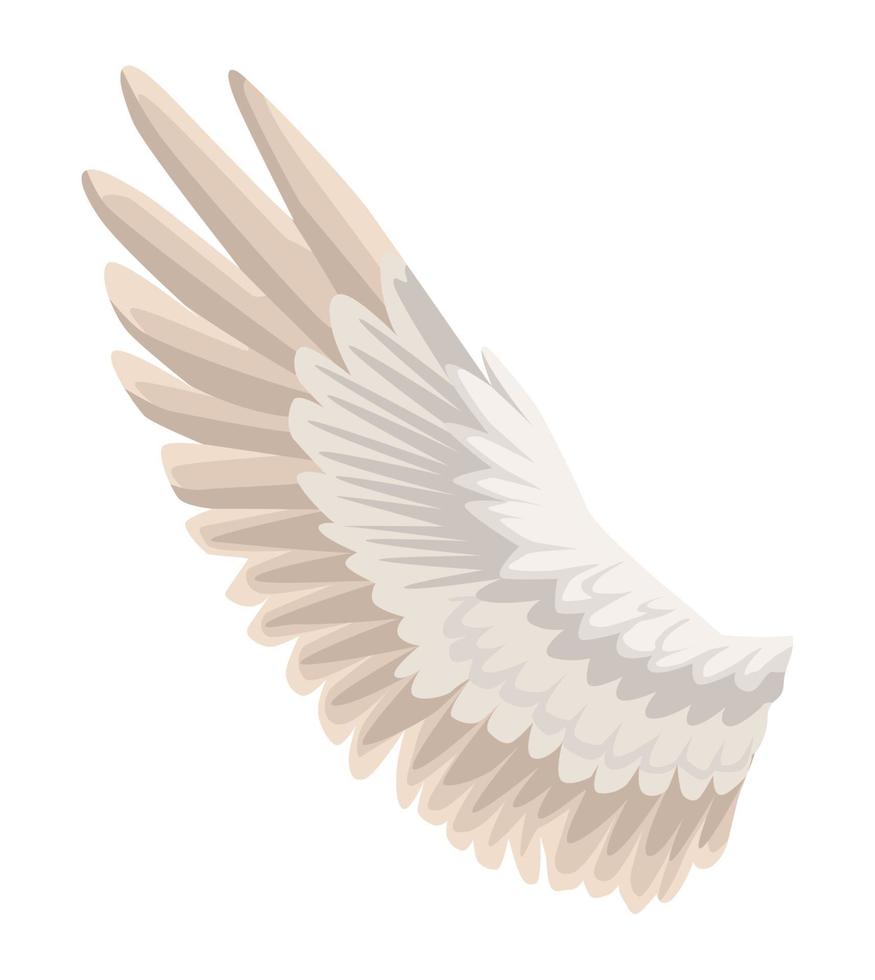 ängel vinge fjädrar vit vektor