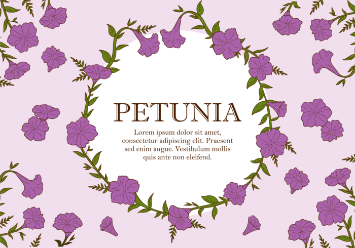 Petunia växt Vector