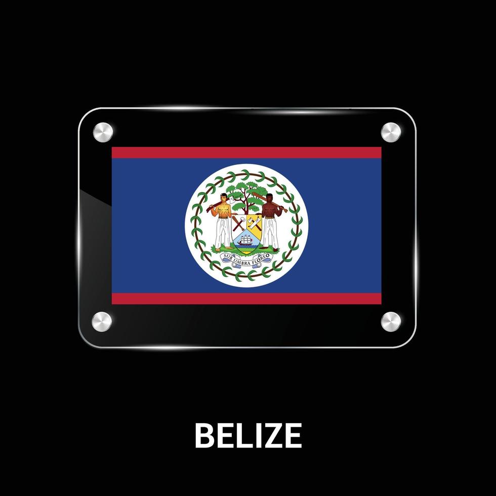 belize flagga design vektor