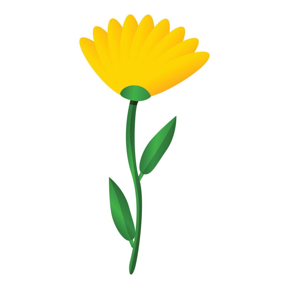 calendula blomma ikon, tecknad serie stil vektor