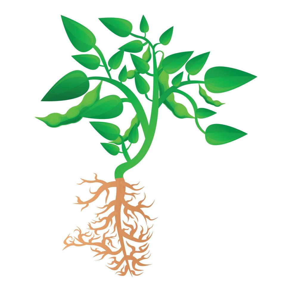 mogna sojaböna växt ikon, tecknad serie stil vektor