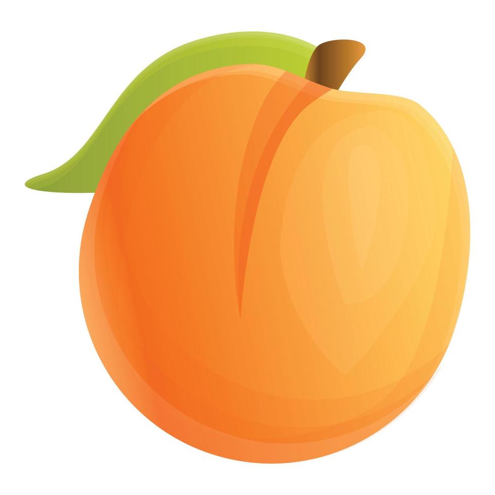 Frische Aprikosen-Ikone, Cartoon-Stil vektor