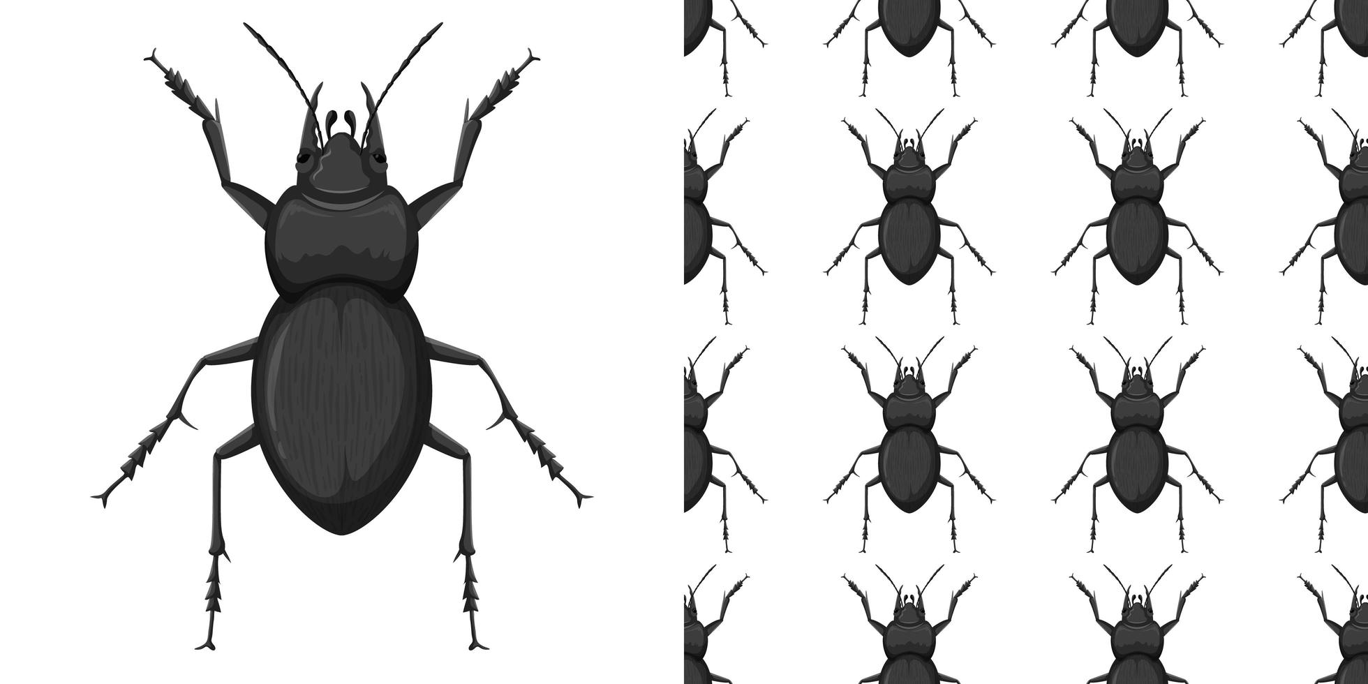 Carabidae und Muster isoliert auf Weiß vektor