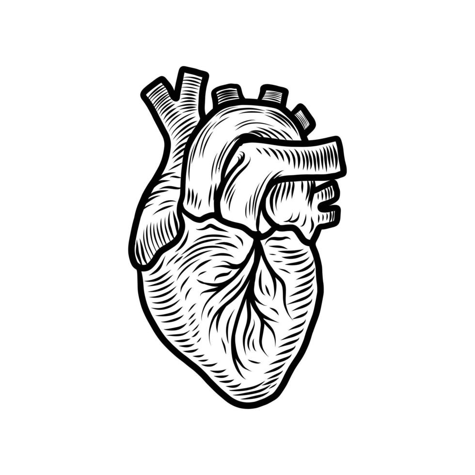 anatomisches Herzorgan-Symbol, handgezeichneter Stil vektor