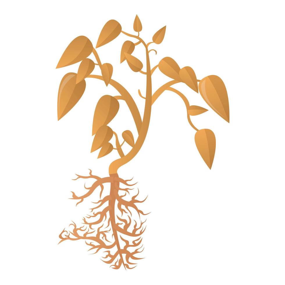 Sojabohnen-Trockenpflanze-Symbol, Cartoon-Stil vektor