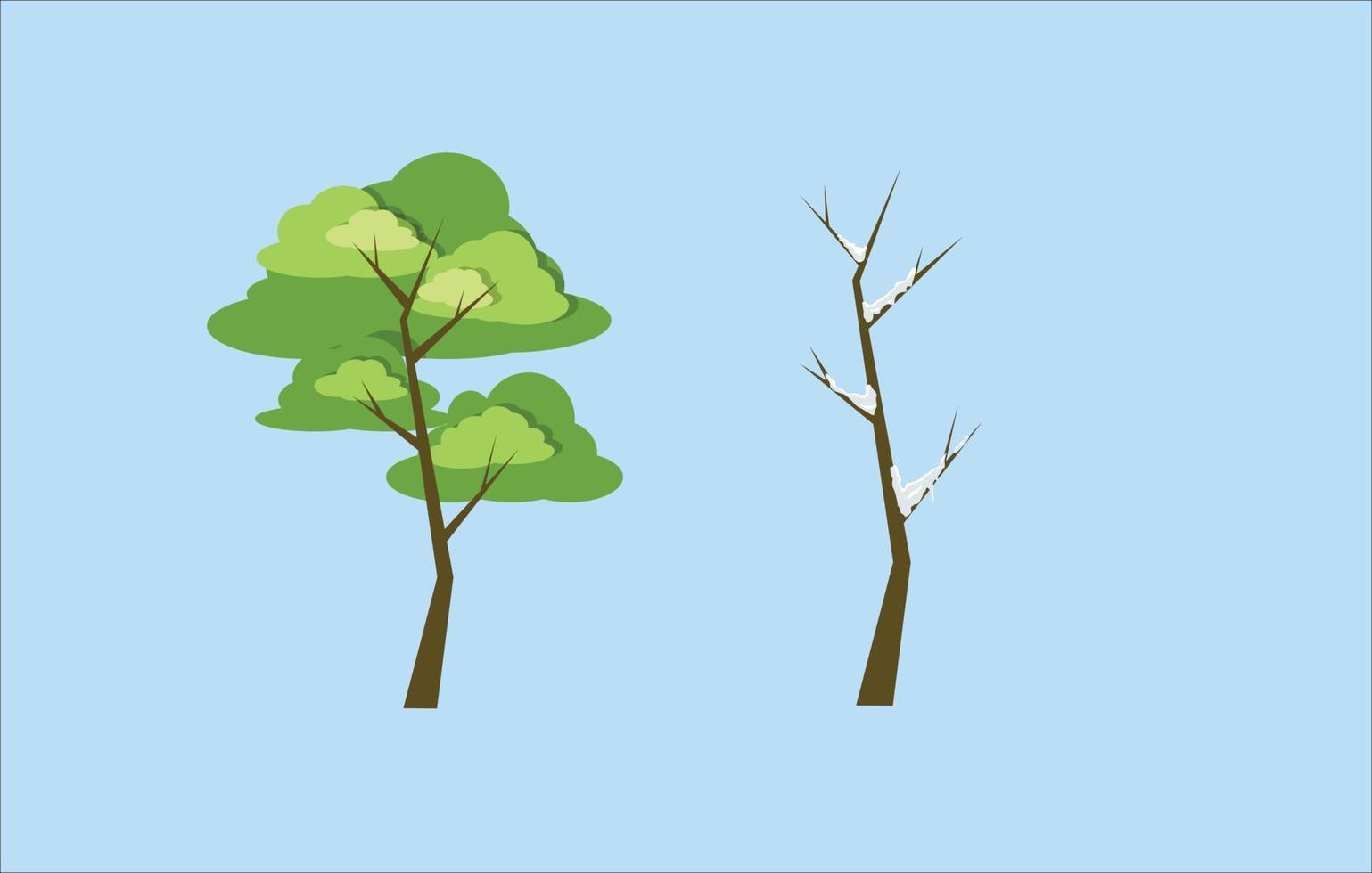 Baumblätter im Sommer und Baum im Winter ohne Blatt vektor