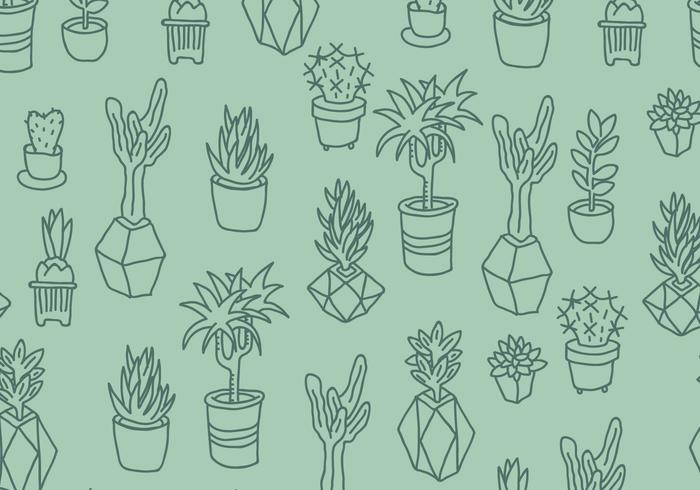 Grüner Kaktus und Sukkulenten-Muster vektor