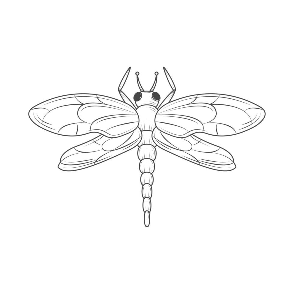Libelle Insektentier vektor