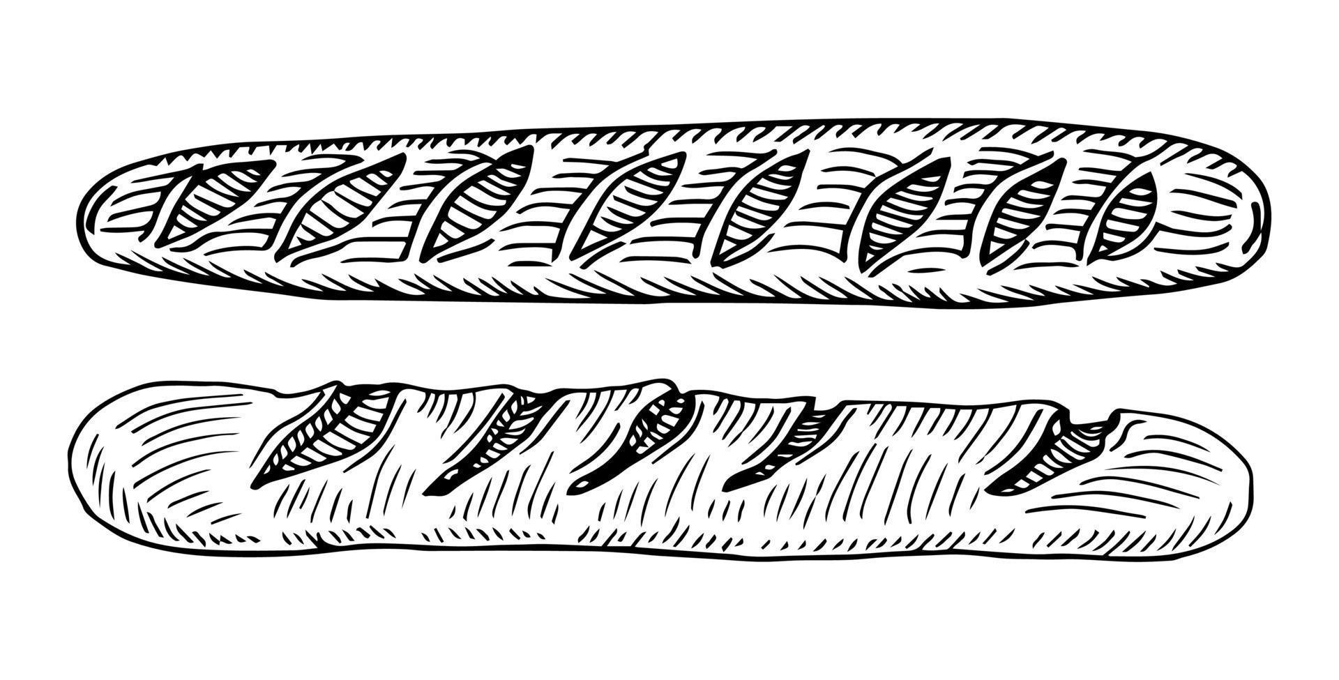 vektor handritad doodle skiss baguette bröd isolerad på vit bakgrund
