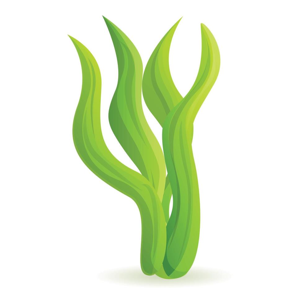 Sea Leaf Superfood-Symbol, Cartoon-Stil vektor