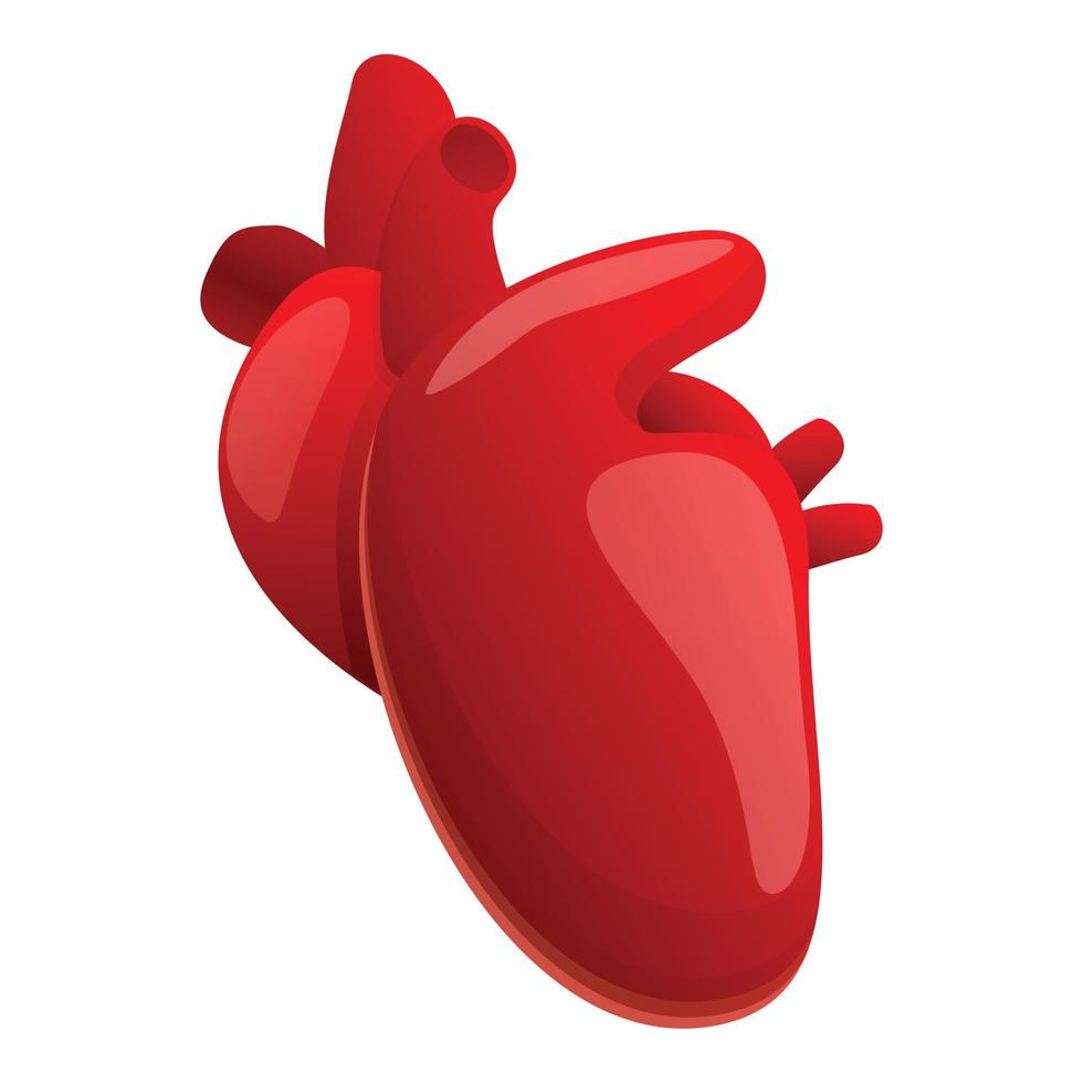 friska mänsklig hjärta ikon, tecknad serie stil vektor