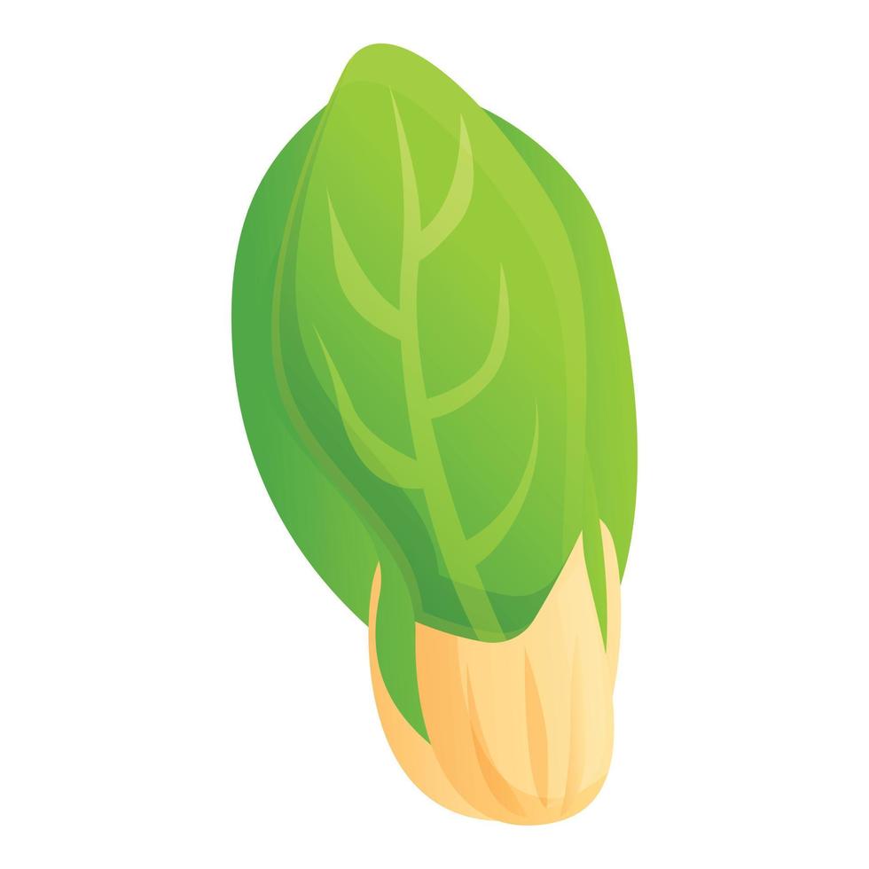 vegetarian kål ikon, tecknad serie stil vektor