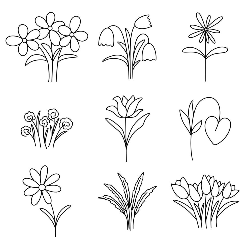 blommor och örter uppsättning vektor illustration