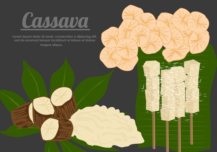 Kassava Root Med Cassava mat vektorer