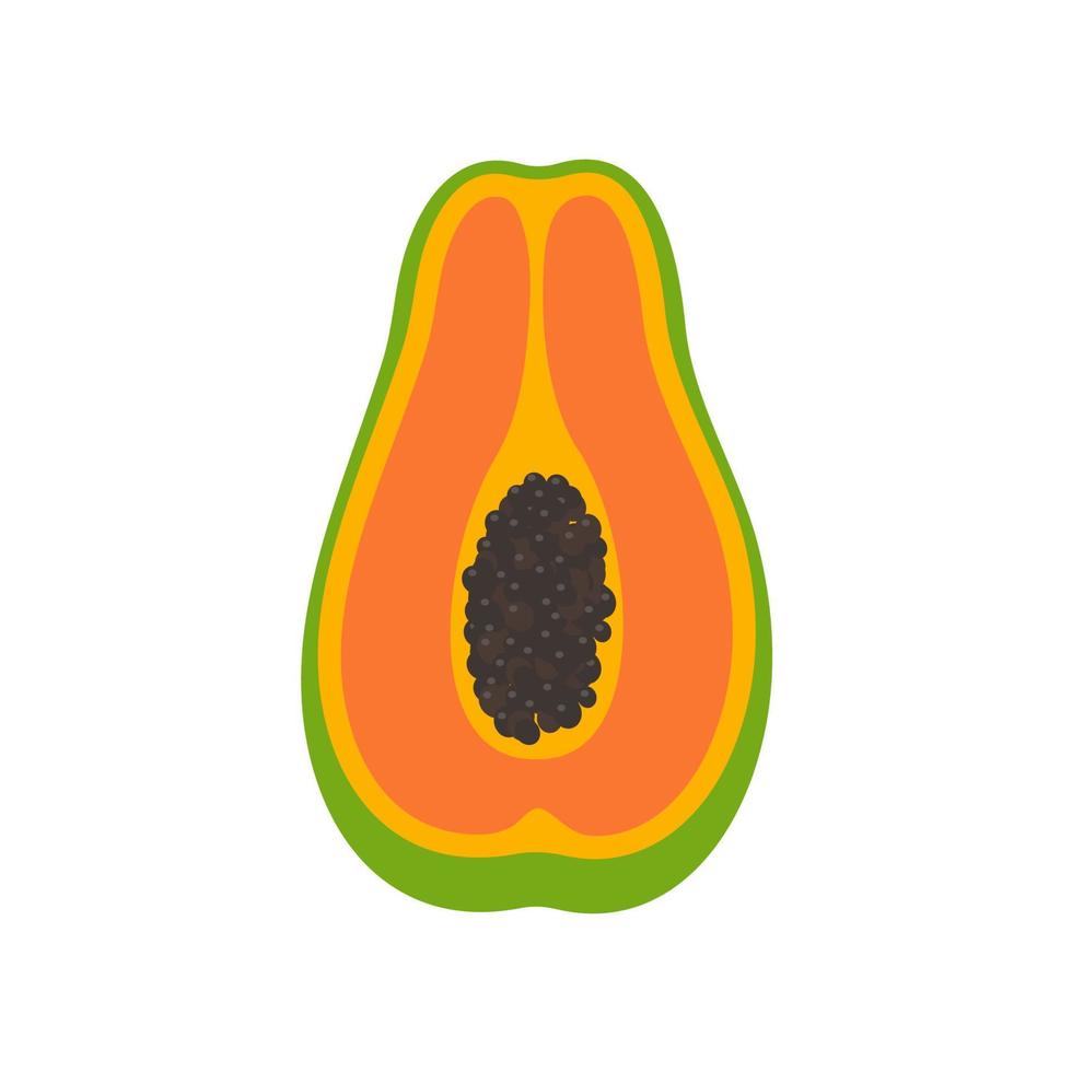 reifer Papaya-Vektor in zwei Hälften geschnitten, bis die Samen im Inneren sichtbar sind. vektor