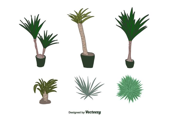 Yucca växt Vector