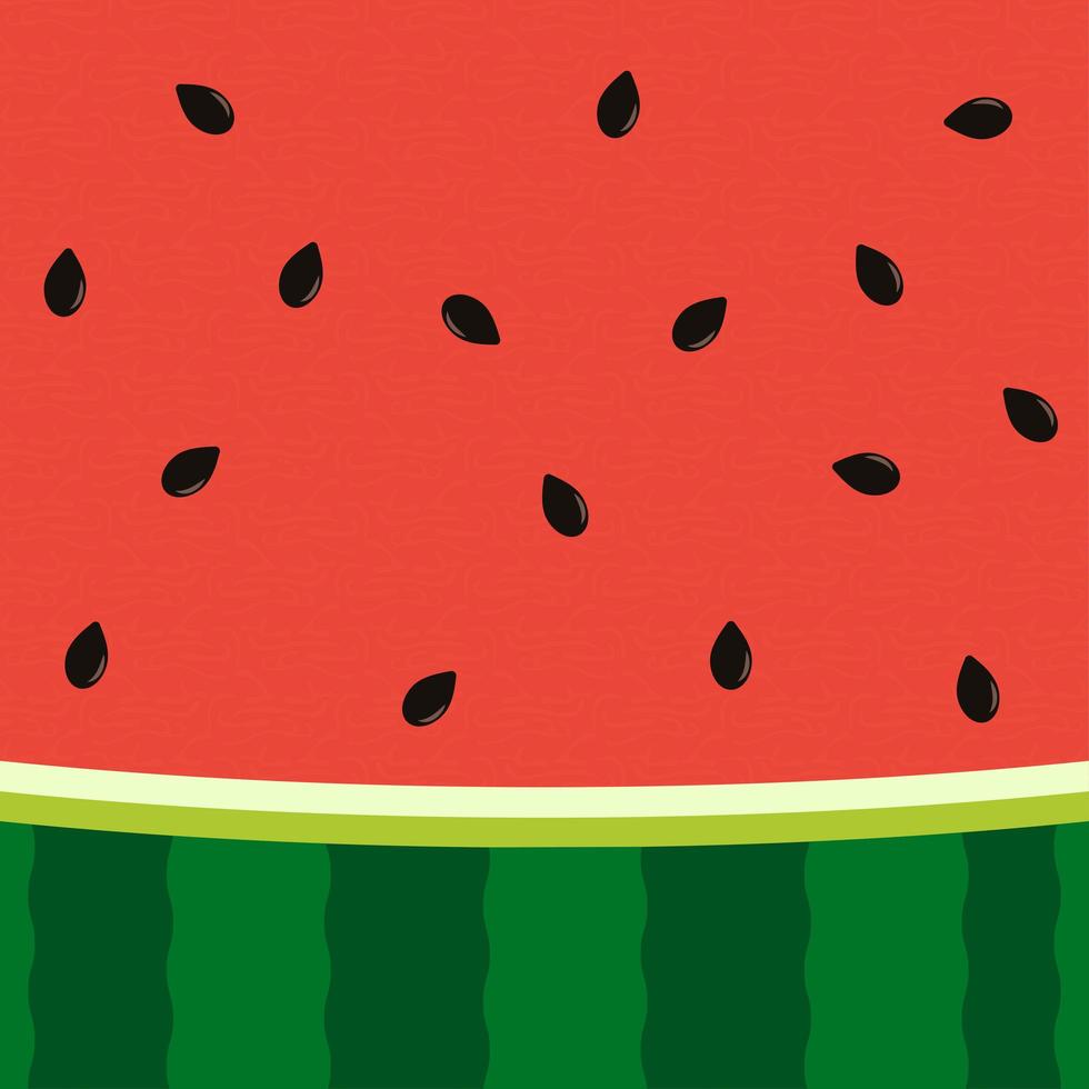Wassermelonenscheibenhintergrund mit Samen- und Hautstruktur vektor