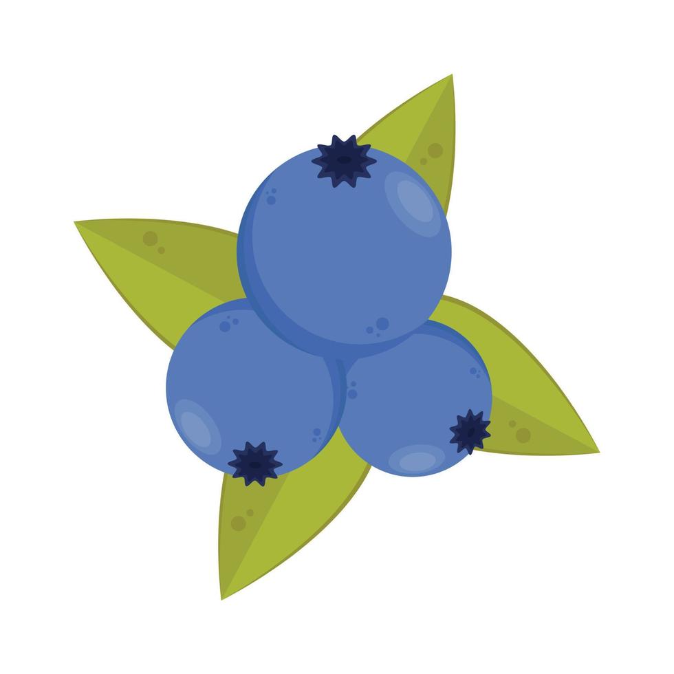 blåbär vektor. blåbär på vit bakgrund. symbol. logotyp design. vektor