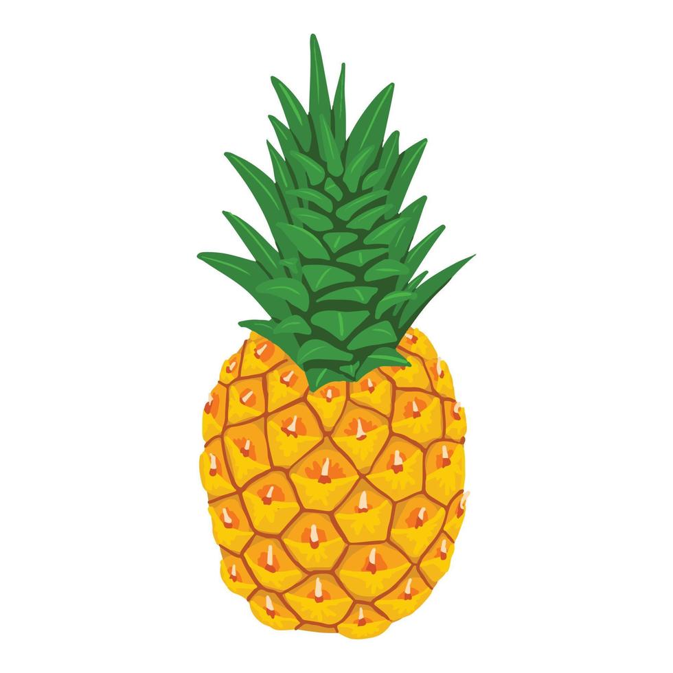 hela ananas ikon, isometrisk stil vektor
