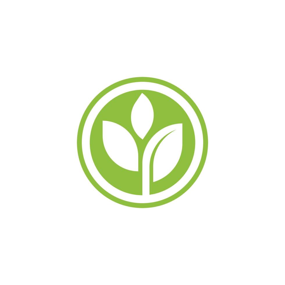 grünes baumblatt ökologie natur element vektor