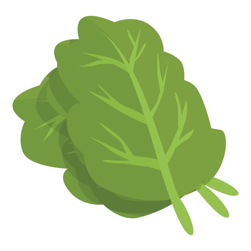 grüner salat blatt symbol cartoon vektor. pflanzliche Nahrung vektor