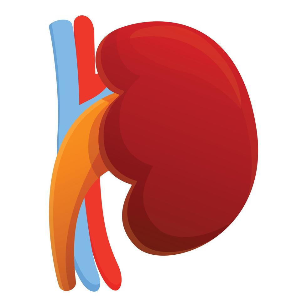 kropp njure ikon, tecknad serie stil vektor