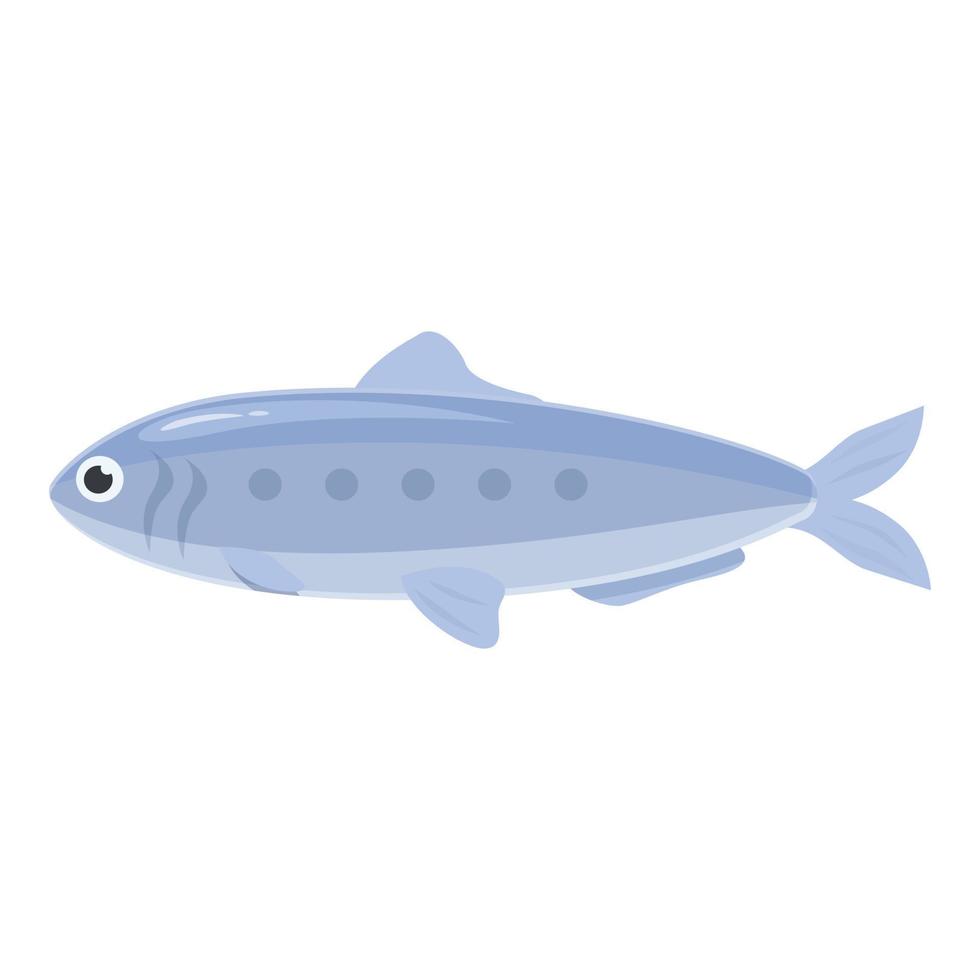 hav sardin ikon tecknad serie vektor. fisk skaldjur vektor