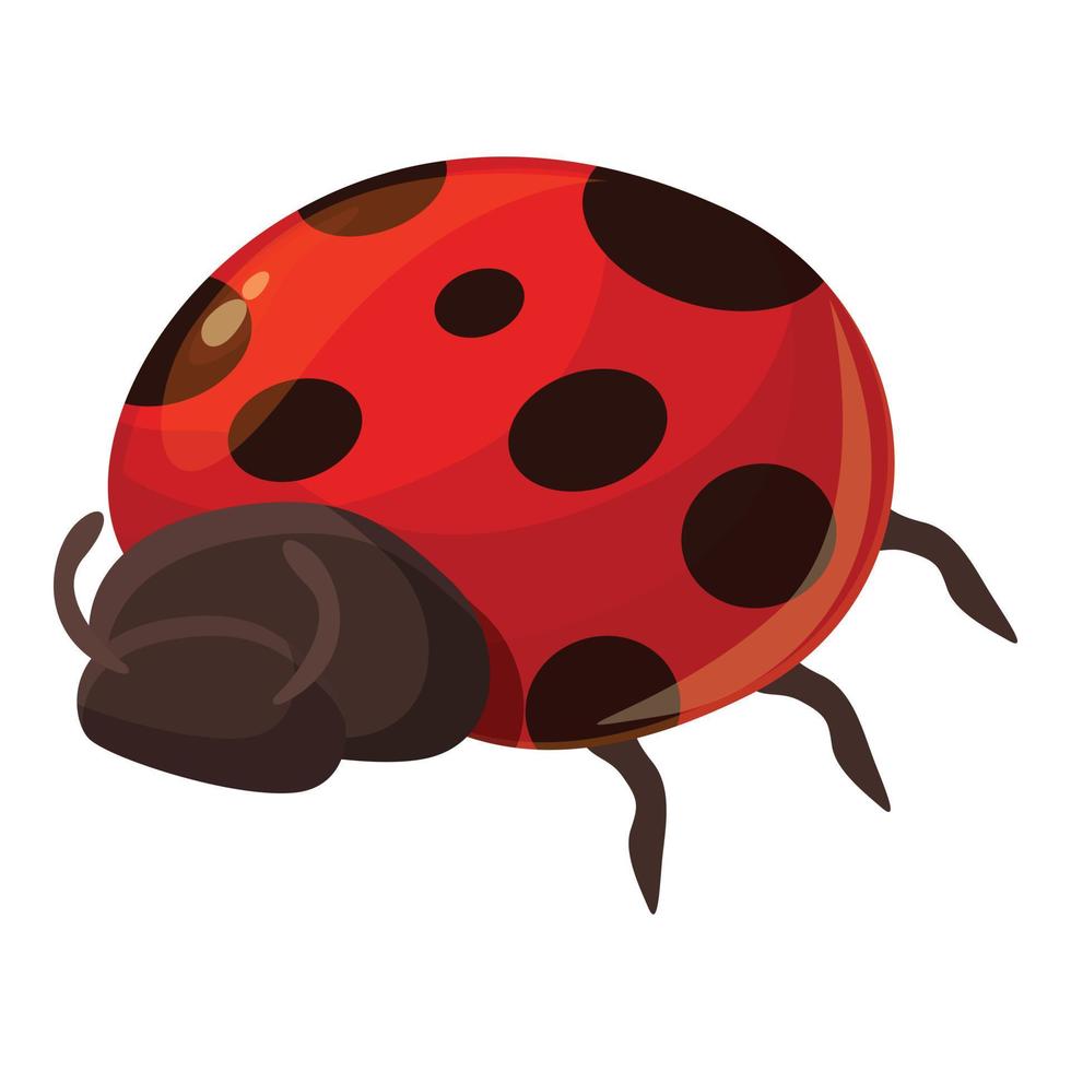 gefleckter Käfer Symbol Cartoon Vektor. Marienkäfer Insekt vektor