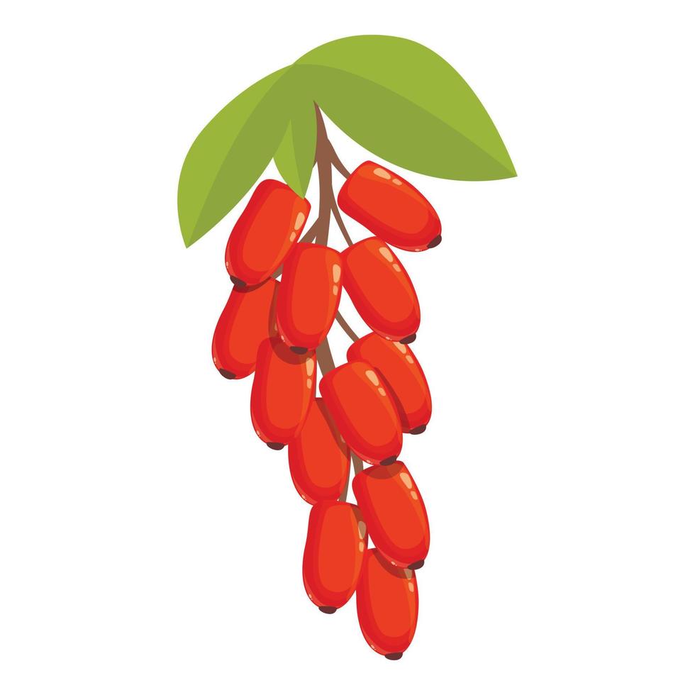 Bio-Berberitze-Symbol-Cartoon-Vektor. Berberis-Frucht vektor