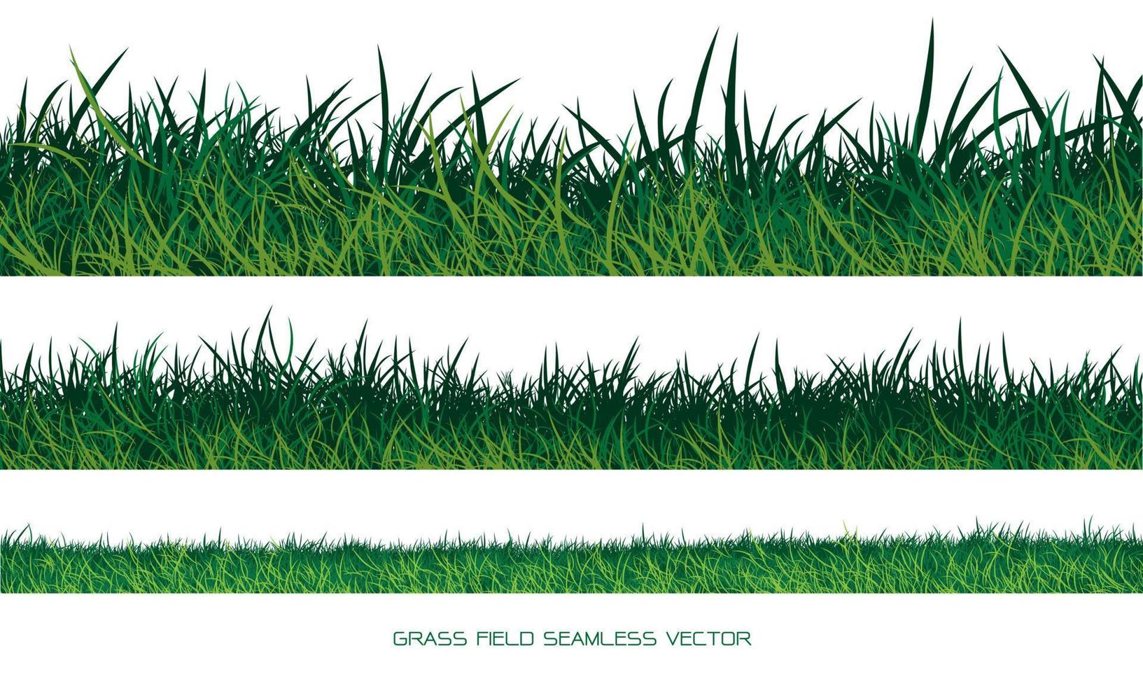 uppsättning av grön gräs gräns sömlös på vit bakgrund vektor