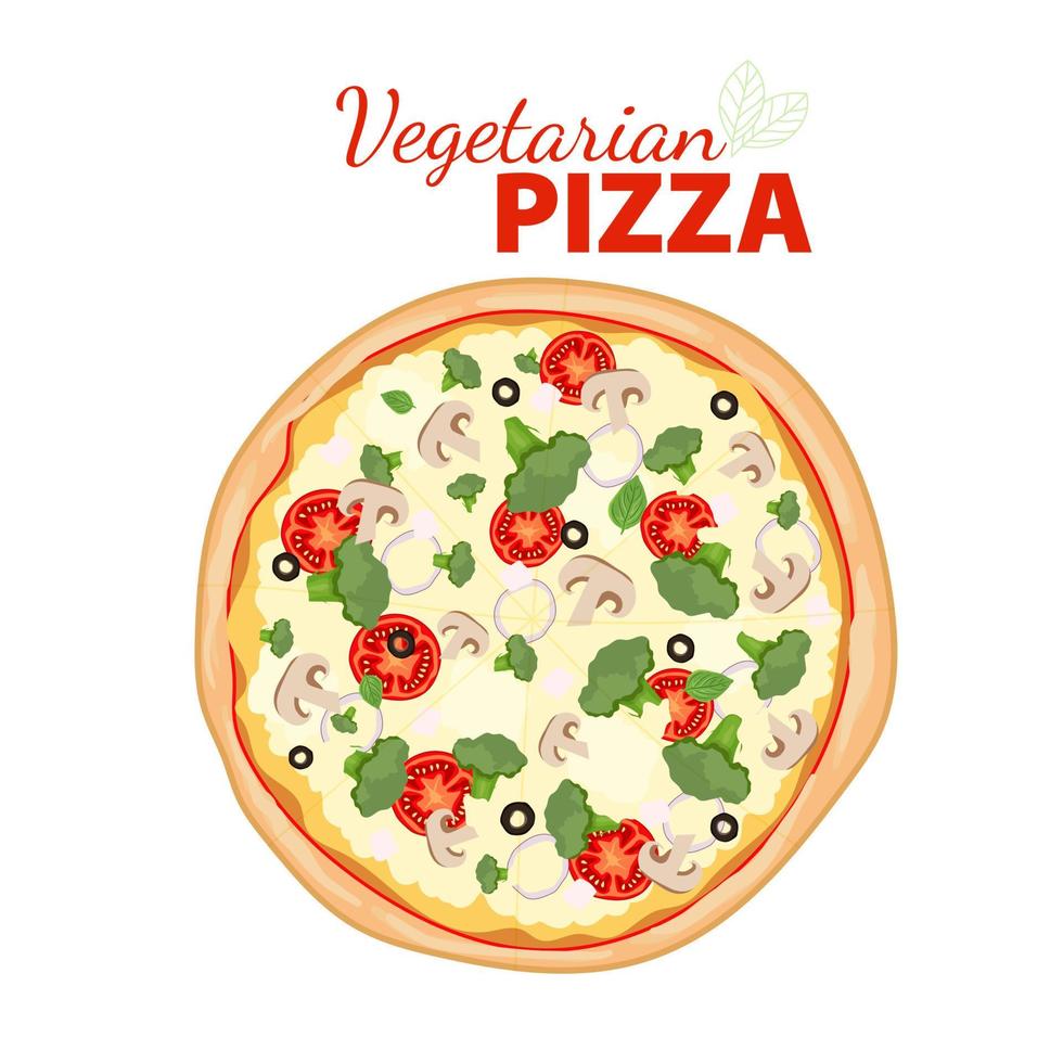 Pizza mit Tomaten, Brokkoli, Basilikum, Oliven, Champignons und Zwiebeln. vegetarische pizza draufsicht. heiße Pizza mit Gemüse isoliert auf weißem Hintergrund. flache vektorillustration vektor