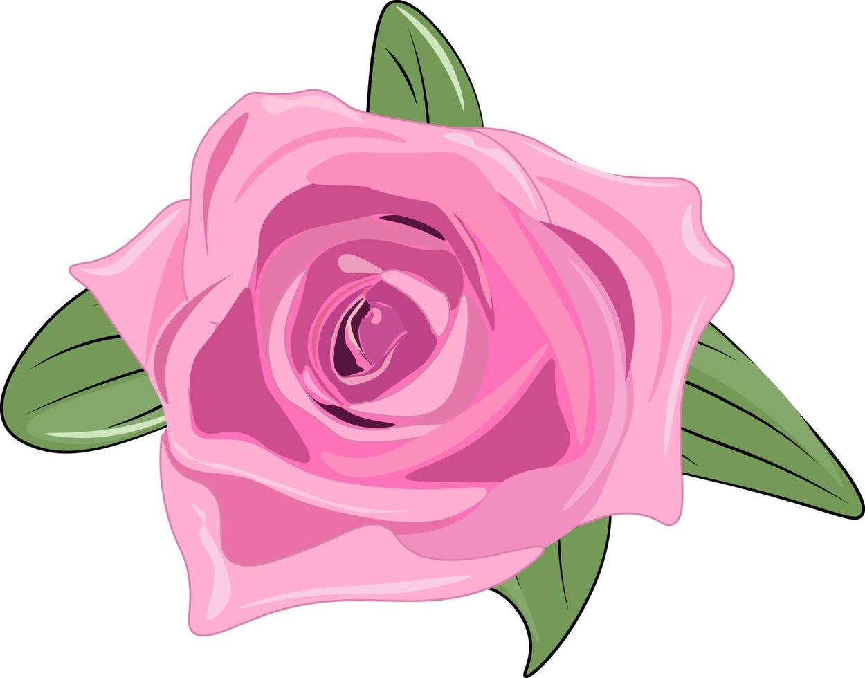 rosa ros isolerad på vitt vektor