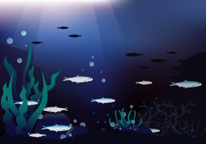 Deep Sea Sardine Vektor Hintergrund