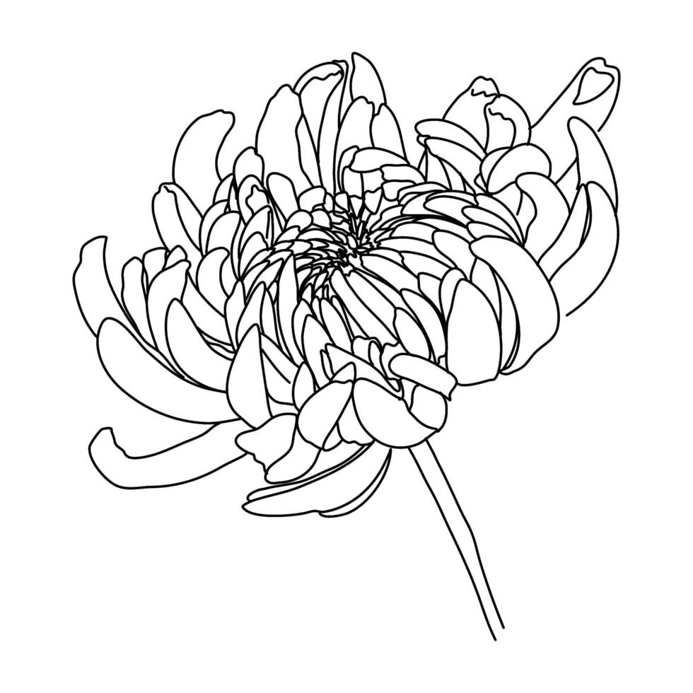 Adobe-Illustrator-Grafik. Blume eine Strichzeichnung. durchgehende linie der einfachen blumenillustration. abstrakte zeitgenössische botanische Designvorlage für minimalistische Cover, T-Shirt-Druck. vektor