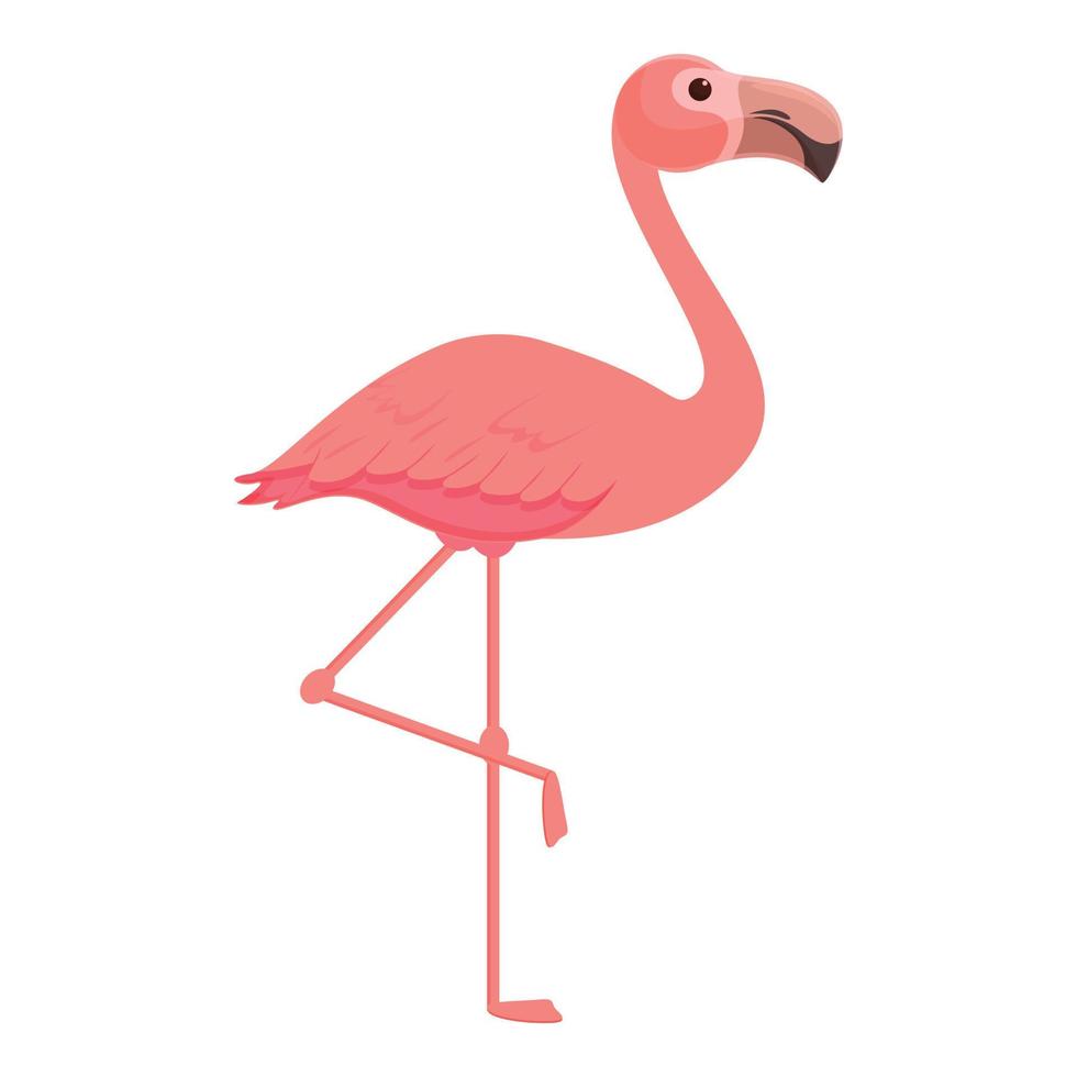 Safari-Flamingo-Symbol Cartoon-Vektor. Zoo-Flamingo vektor