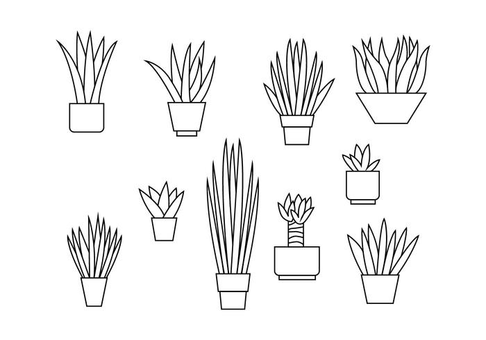 Freie Yucca Linie Illustration Vektor