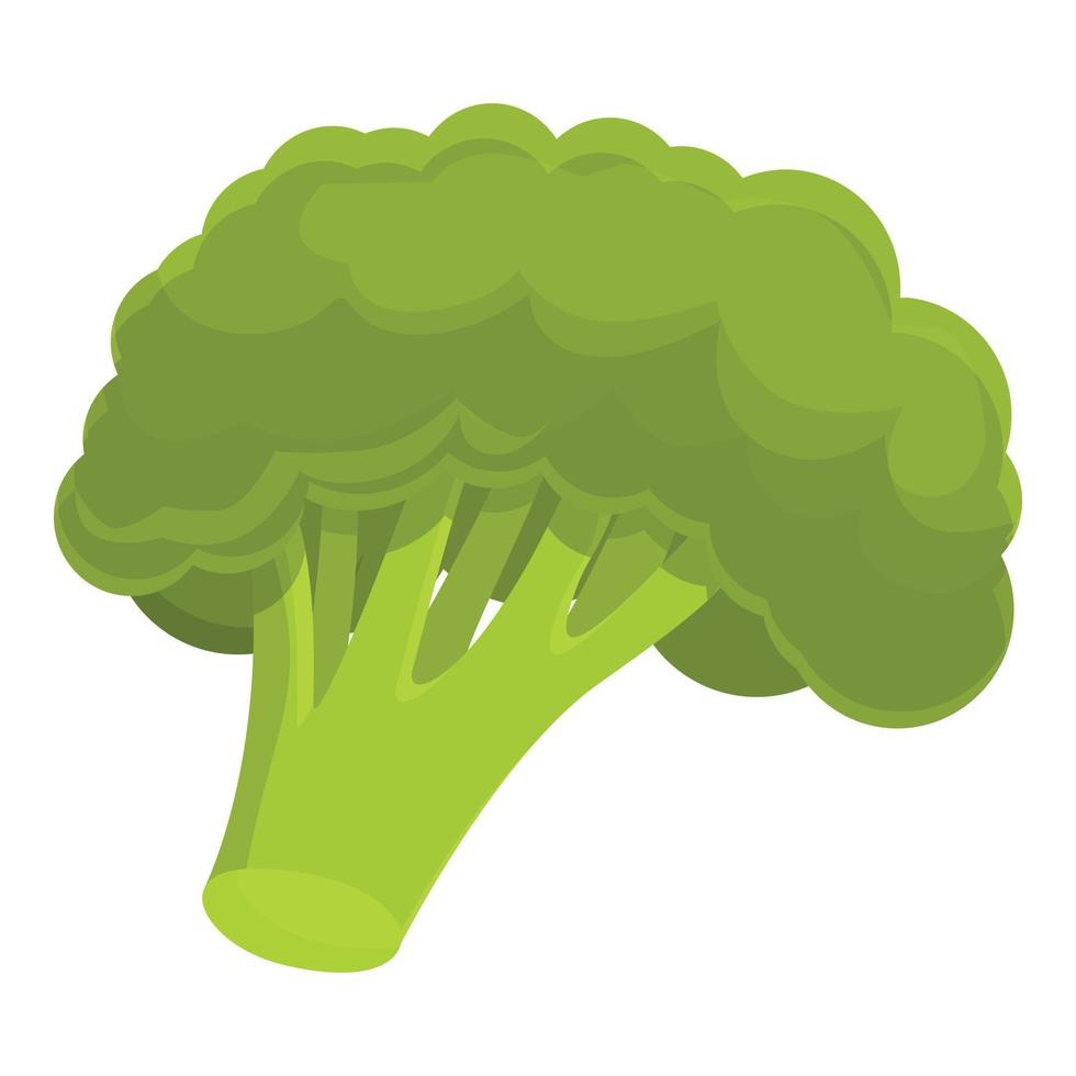 Brokkoli-Pflanzen-Symbol, Cartoon-Stil vektor
