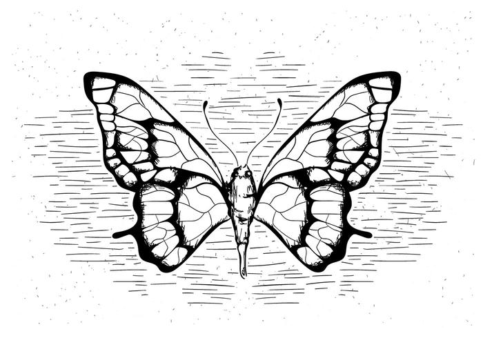 Freie Hand Drawn Vector Schmetterling