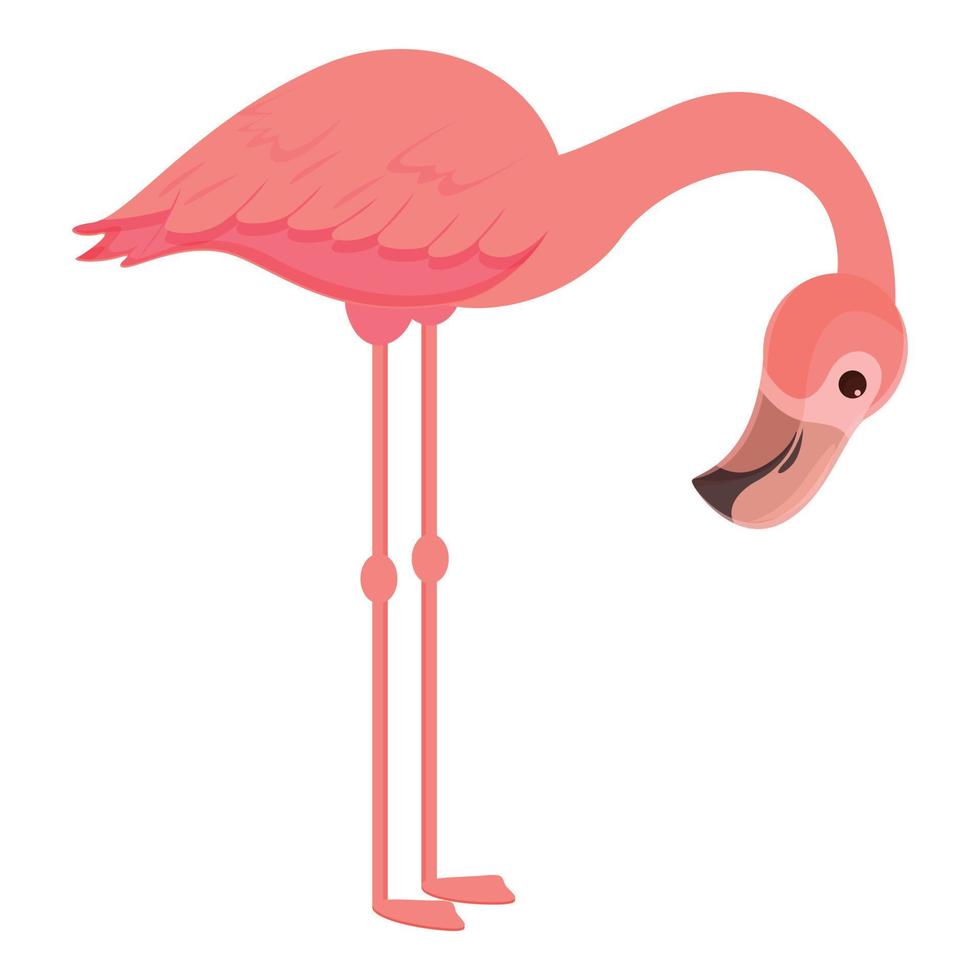 niedlicher flamingo-symbol-karikaturvektor. rosa Vogel vektor